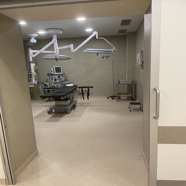 Picture 1