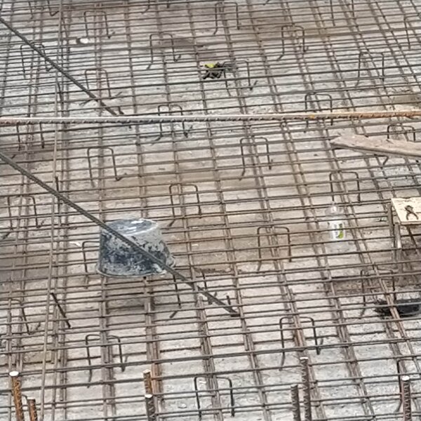 Picture 1